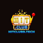 Foto del perfil de HITCLUB
