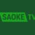 Foto del perfil de SAOKETV