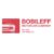 Foto del perfil de Bobileff Motorcar Company