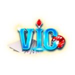 Foto del perfil de Vicclub