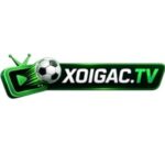 Foto del perfil de xoigac tv