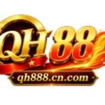 Foto del perfil de QH88