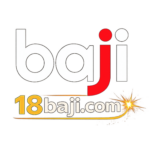 Foto del perfil de baji