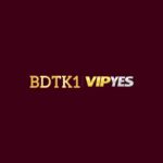 Foto del perfil de BDTK1