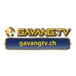 Foto del perfil de GAVANGTV