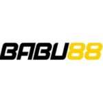 Foto del perfil de PlayBabu88 net