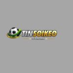 Foto del perfil de tinsoikeocommx