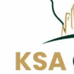 Foto del perfil de KSAguides Saudi Arabia