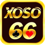Foto del perfil de XOSO66