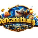 Foto del perfil de Bắn Cá Đổi Thưởng