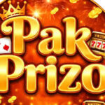 Foto del perfil de Pakprizo Game