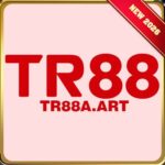 Foto del perfil de tr88aart
