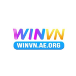 Foto del perfil de WINVN ae org
