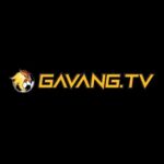 Foto del perfil de gavang tv