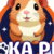 Foto del perfil de noka pet