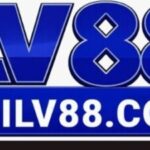 Foto del perfil de Huilv88 Com