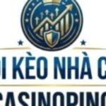 Foto del perfil de SOI KÈO NHÀ CÁI - CASINOPINO