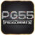 Foto del perfil de pg55boats