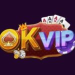 Foto del perfil de OKVIP