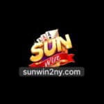 Foto del perfil de SUNWIN 2NYCOM
