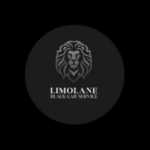 Foto del perfil de Limo Lane