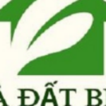 Foto del perfil de Nhà Đất Bà Rịa Vũng Tàu