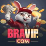 Foto del perfil de bravip