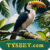Foto del perfil de tysbet