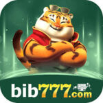 Foto del perfil de bib777