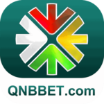 Foto del perfil de qnbbet