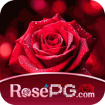 Foto del perfil de rosepg