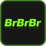 Foto del perfil de brbrbr