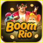 Foto del perfil de boomrio