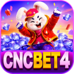 Foto del perfil de cncbet