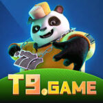 Foto del perfil de t9game