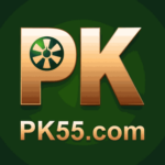 Foto del perfil de pk55