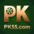 Foto del perfil de pk55