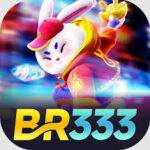 Foto del perfil de br333