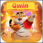 Foto del perfil de qwin