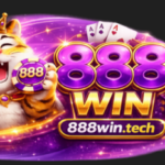 Foto del perfil de 888wintech
