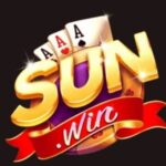 Foto del perfil de sun win