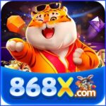 Foto del perfil de u868x