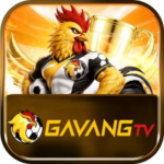 Foto del perfil de GavangTV
