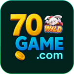 Foto del perfil de u70game