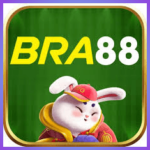 Foto del perfil de bra88
