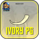 Foto del perfil de ivorypg