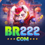 Foto del perfil de br222