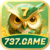 Foto del perfil de u737game
