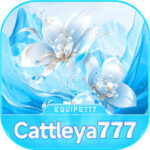 Foto del perfil de cattleya777