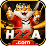 Foto del perfil de h22a